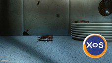Servicii DDD Profesionale-DDD Biodera