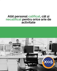 Servicii de leasing și recrutare de personal din Asia - 2