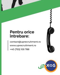 Servicii de leasing și recrutare de personal din Asia - 4