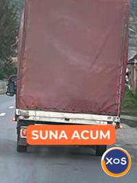 SERVICII DE TRANSPORT SI MUTARI adaptate nevoilor tale - 1