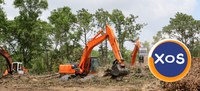 Servicii defrișare și curățare terenuri - 5