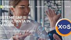 Sisteme SAP si Consultarea in afaceri