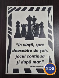 Stickere Decorative Personalizate pentru Pereti, Vitrine & Mobila - 8