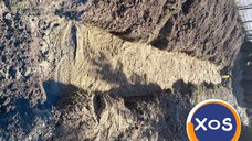 Zilier muncitor cu ziua bucuresti