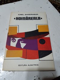 Hoinareala de  Ionel Bandrabur - 1