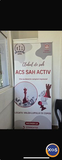 Sah Activ - Cursuri de sah pentru copii - 3