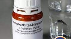 Nembutal Pentobarbital, Iboga, OxyContin, 4mec, MDMA, Actavis