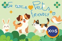 Bine ați venit la Vila Nina din Bulgaria - 11